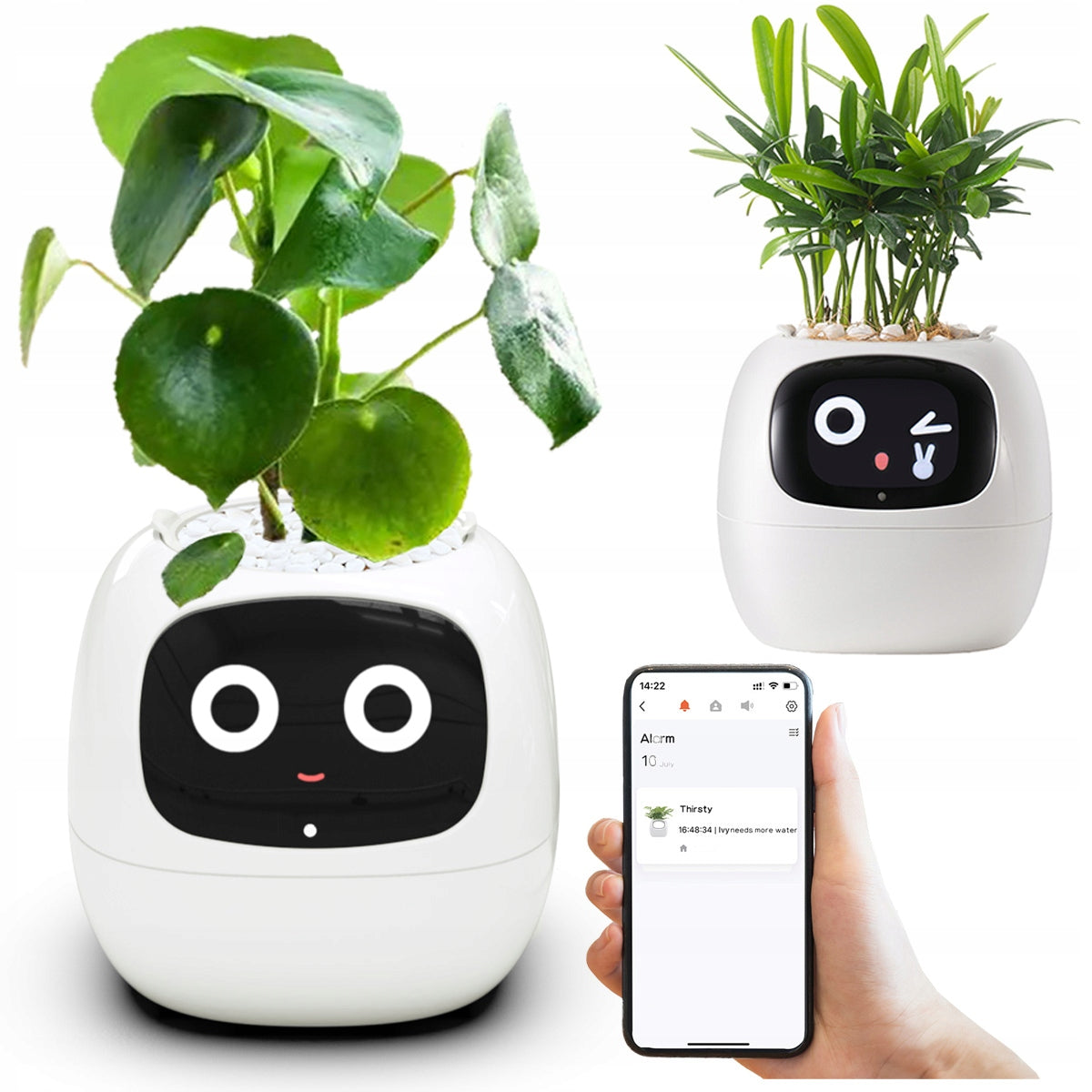 Sprouti™ - Smart Plant Companion